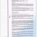 Atemberaubend Mietvertrag Einliegerwohnung Muster Als Doc &amp; Pdf