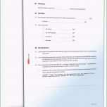 Atemberaubend Mietvertrag Einliegerwohnung Muster Als Doc &amp; Pdf