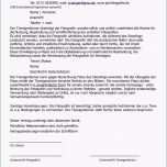 Atemberaubend Model Release Vertrag Petra Borger Tierfotografie Berlin