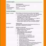 Atemberaubend Planet Beruf Lebenslauf Vorlage 7 Lebenslauf Beruf the