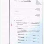 Atemberaubend Reinigungsplan Küche Muster