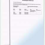 Atemberaubend Reinigungsplan Küche Vorlage Kostenlos – Various Vorlagen