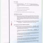 Atemberaubend Satzung Gemeinnütziger Verein Muster Zum Download