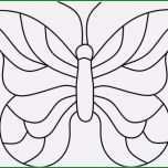 Atemberaubend Schmetterling Farbung Vorlage Msent