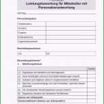 Atemberaubend Schön Leistungsbeurteilung Mitarbeiter Vorlage