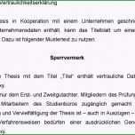 Atemberaubend Sperrvermerk Projektarbeit Ihk Aufsatz über Den Planeten