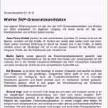 Atemberaubend Svp Wohlen Anglikon Neuigkeiten
