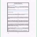 Atemberaubend Testament Vorlage Pdf Basic Will and Testament Template