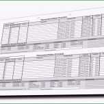 Atemberaubend thermodesinfektor Protokoll