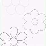 Atemberaubend Vorlage Blume Blume with Vorlage Blume Elegant Kleine