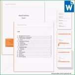 Atemberaubend Vorlage Projektvertrag