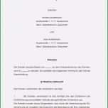 Atemberaubend Vorlage Testament Handschriftlich Muster Einzigartig