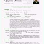 Atemberaubend Wertvoll Latex Lebenslauf Bewerbung