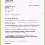 Atemberaubend Wie Schreibe Ich Einen Lebenslauf Richtig Vorlage Basic