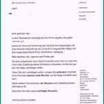 Atemberaubend Wohnung K Ndigung Vorlage Design