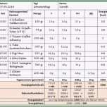 Außergewöhnlich 11 Ernährungsprotokoll Vorlage Word