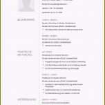 Außergewöhnlich 12 Lebenslauf Führungskraft Vorlage