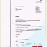 Außergewöhnlich 15 Mieterselbstauskunft Muster