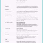 Außergewöhnlich 15 Muster Englischer Lebenslauf