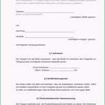 Außergewöhnlich 17 Modelvertrag Vorlage