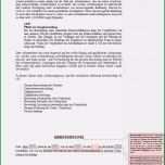 Außergewöhnlich 17 Praktikumszeugnis Vorlage Word