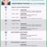 Außergewöhnlich 17 Tabellarischer Lebenslauf Akademiker