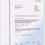 Außergewöhnlich 18 Kündigungsschreiben Versicherung Vorlage Word