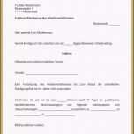 Außergewöhnlich 20 Kündigung Minijob Vorlage Word