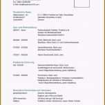 Außergewöhnlich 20 Lebenslauf Ausbildung Vorlage Word