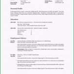 Außergewöhnlich 20 Lebenslauf Latex Vorlage