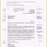 Außergewöhnlich 20 Schulischer Lebenslauf Vorlage