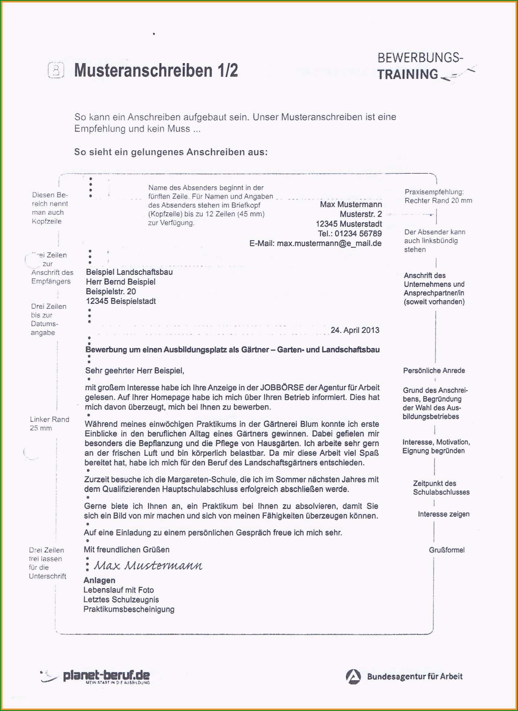 20 schulischer lebenslauf vorlage