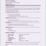 Außergewöhnlich 26 Best Cv Vorlage Englisch Bilder