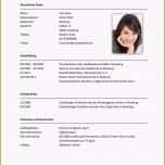 Außergewöhnlich 87 Undergraduate Lebenslauf Muster Ausbildung Word Tipps