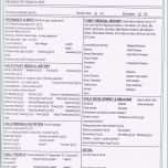 Außergewöhnlich Arbeitsstundennachweis Vorlage Kostenlos