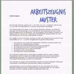 Außergewöhnlich Arbeitszeugnis Muster Download