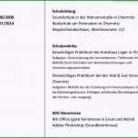 Außergewöhnlich Besuchsbericht Excel Muster Vorlagen F252r