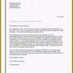 Außergewöhnlich Bewerbung Reinigungskraft Vorlage Kostenlos Großen 10