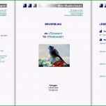 Außergewöhnlich Bewerbungsvorlagen Für Libreoffice