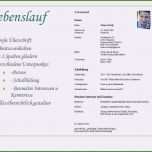 Außergewöhnlich Bild In Lebenslauf Einfügen Word