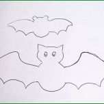 Außergewöhnlich Die Besten 25 Fledermaus Vorlage Ideen Auf Pinterest