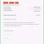 Außergewöhnlich Domain Kündigung Vorlage Download Chip