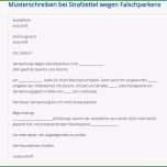Außergewöhnlich Einspruch Bei Strafzettel Wegen Falschparkens Vorlage