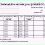 Außergewöhnlich Gefahrstoffkataster Vorlage Excel Elegant Neues