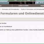 Außergewöhnlich Genehmigung Nachbar Grenzbebauung Vordruck