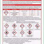 Außergewöhnlich Klasse 8