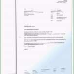 Außergewöhnlich Konformitätserklärung Vorlage Pdf Einzeltestament Muster