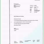 Außergewöhnlich Kündigung Elternzeit Arbeitnehmer Muster Brief 19 Süß