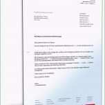 Außergewöhnlich Kündigung Mietvertrag Mieter