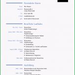 Außergewöhnlich Lebenslauf formular Zum Ausdrucken Lebenslauf Beispiel